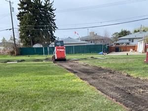 Community Garden