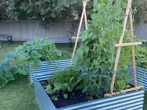 Community Garden