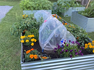 Community Garden