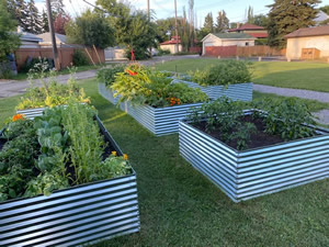 Community Garden